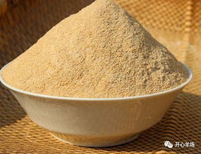 你真的了解各种饲料的性质吗？—— 一份饲料选择与使用的实用指南