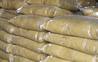 生物发酵饲料 开启高效健康养猪新纪元