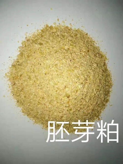 玉米胚芽粕在畜禽饲料中的应用与饲料添加剂的选择